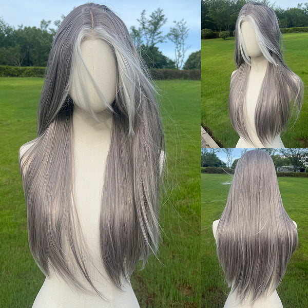 Smilco Grey Highlight  Straight  Wig – 1.5*6CM  Small Lace Front, 26 Inch/SM004